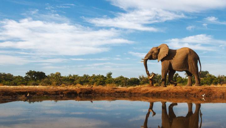 Search for Your Perfect Luxury Vacations