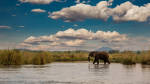 Zambia