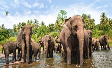 Sri Lanka