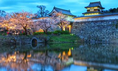 Japan Tours
