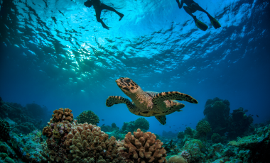Seychelles